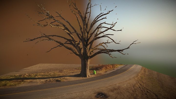 The Big Oak Tree 3D Model
