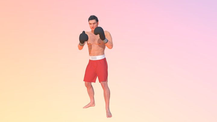 14 Отбив от прямых ударов наружу 3D Model