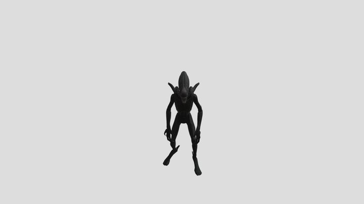 Animation_Idle 3D Model