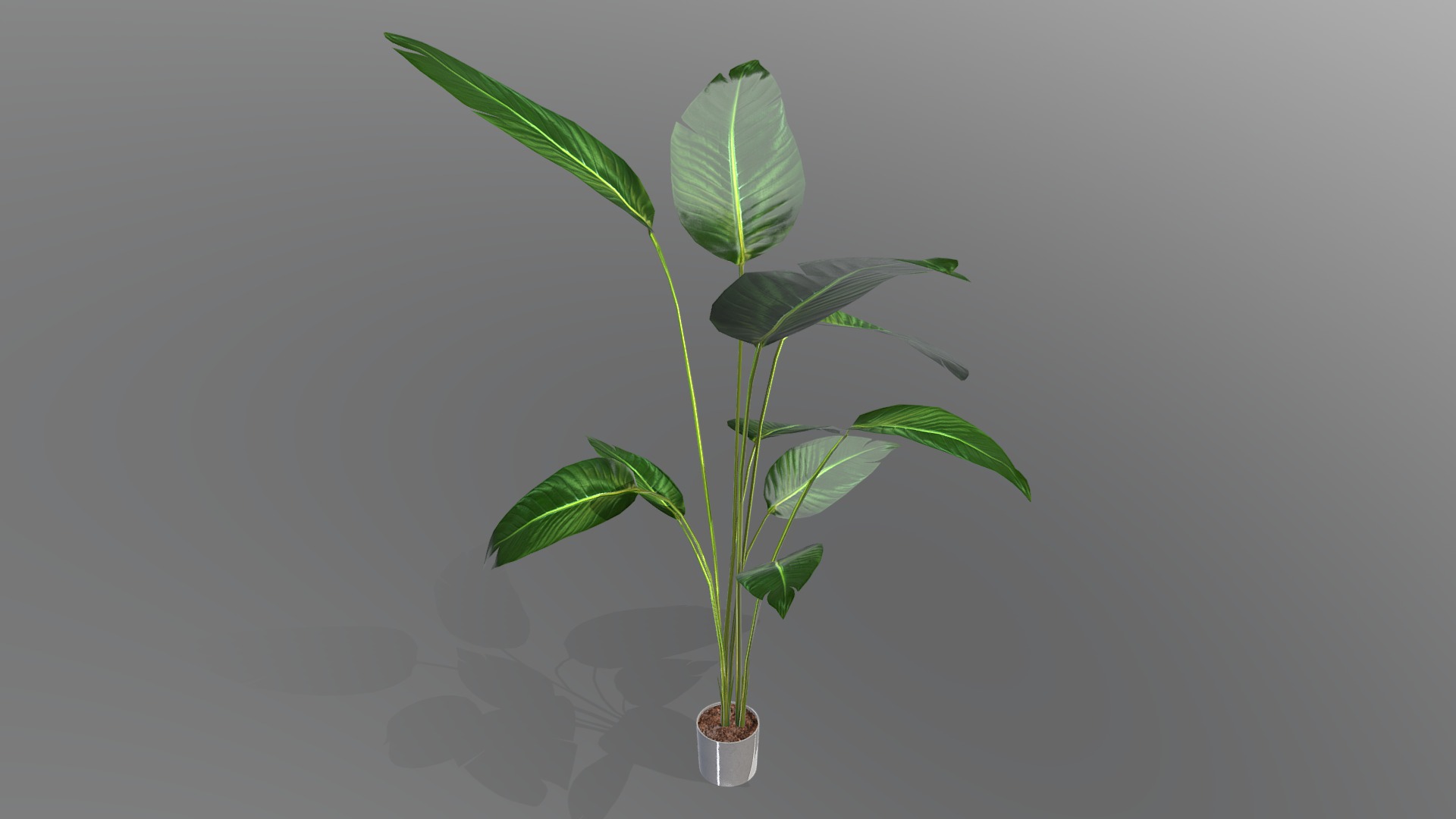 3D model Houseplant - This is a 3D model of the Houseplant. The 3D model is about a plant in a pot.