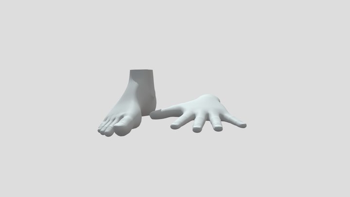 Hands And Feet 3D Model