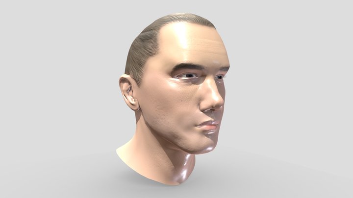 Not the Real Slim Shady 3D Model