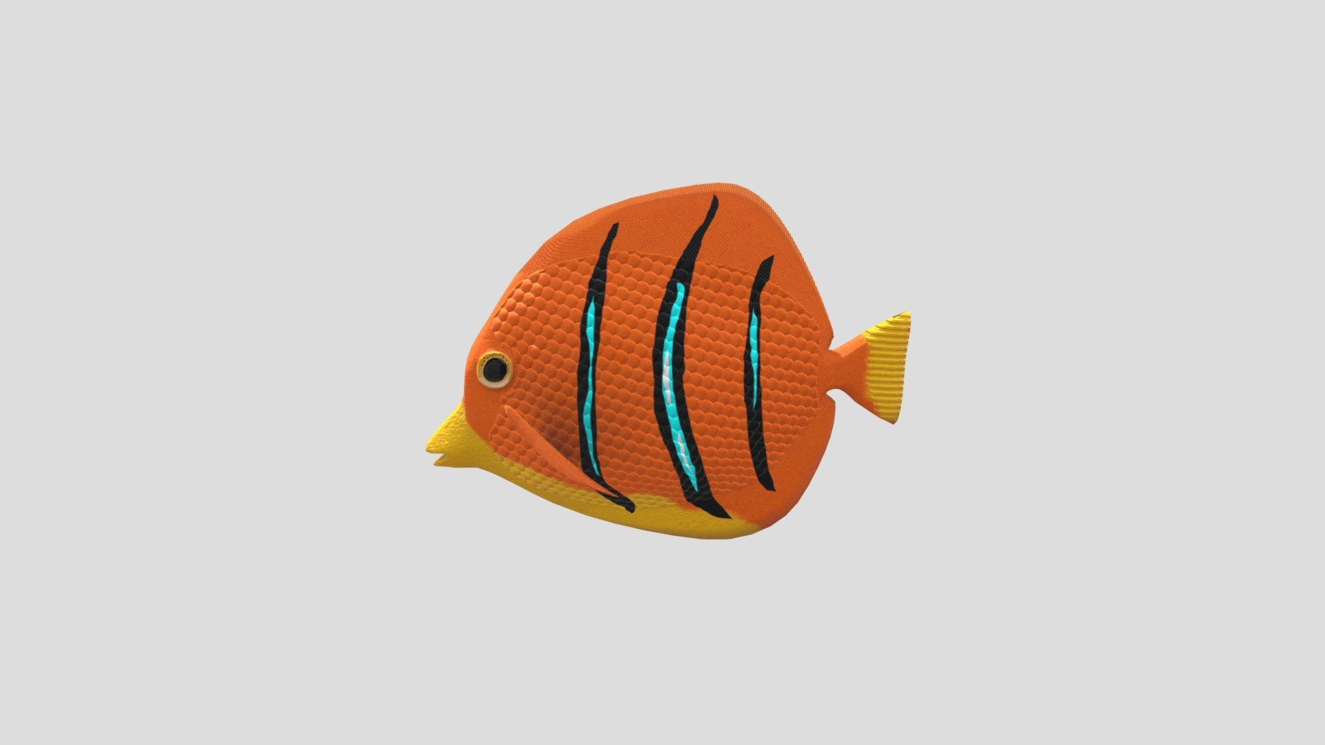 SchmidtFish