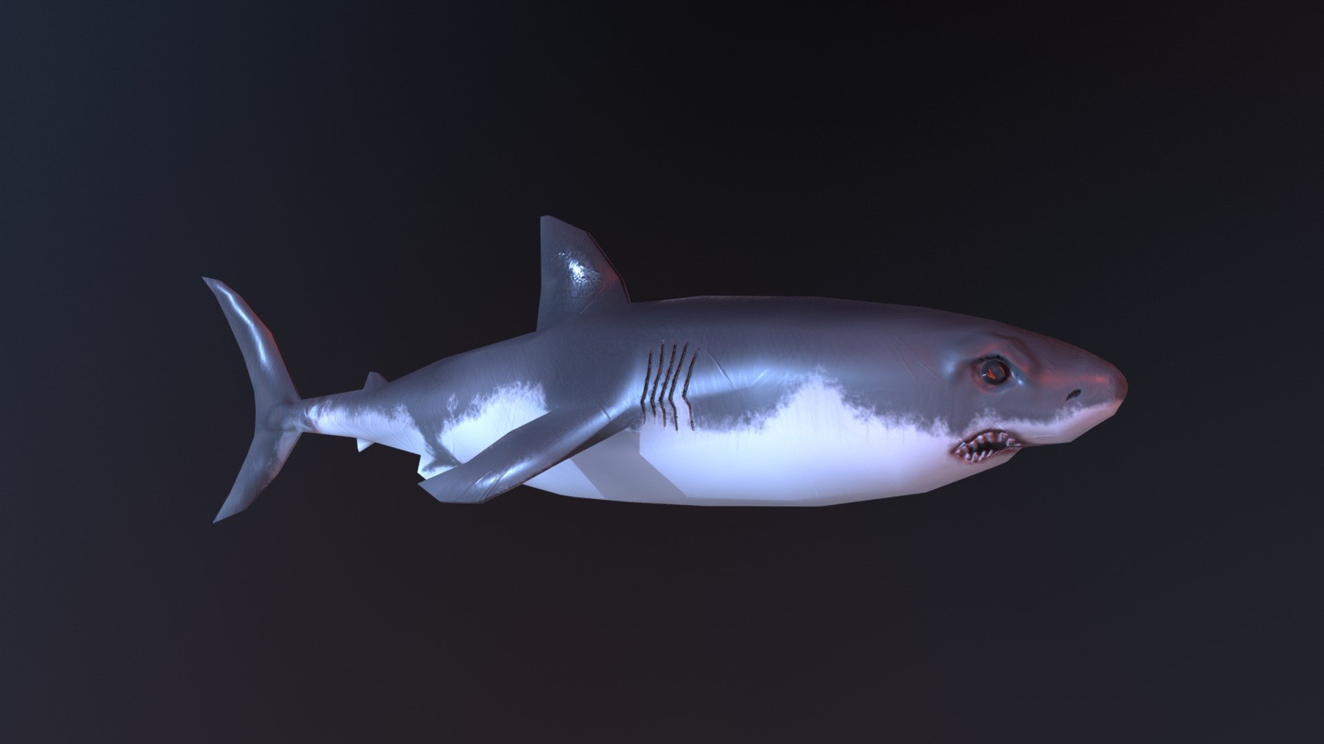 shark 3d model by gabriel ansgariusson gabboow 2b70cf7 sketchfab