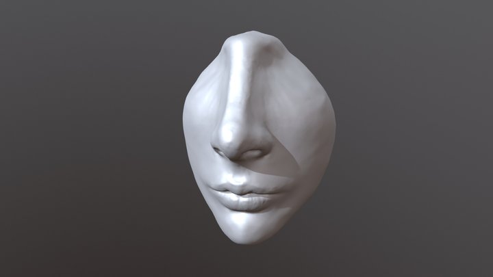 01 Mouth & Nose 3D Model