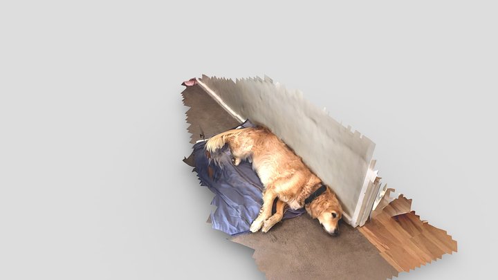 New Model 3D Model