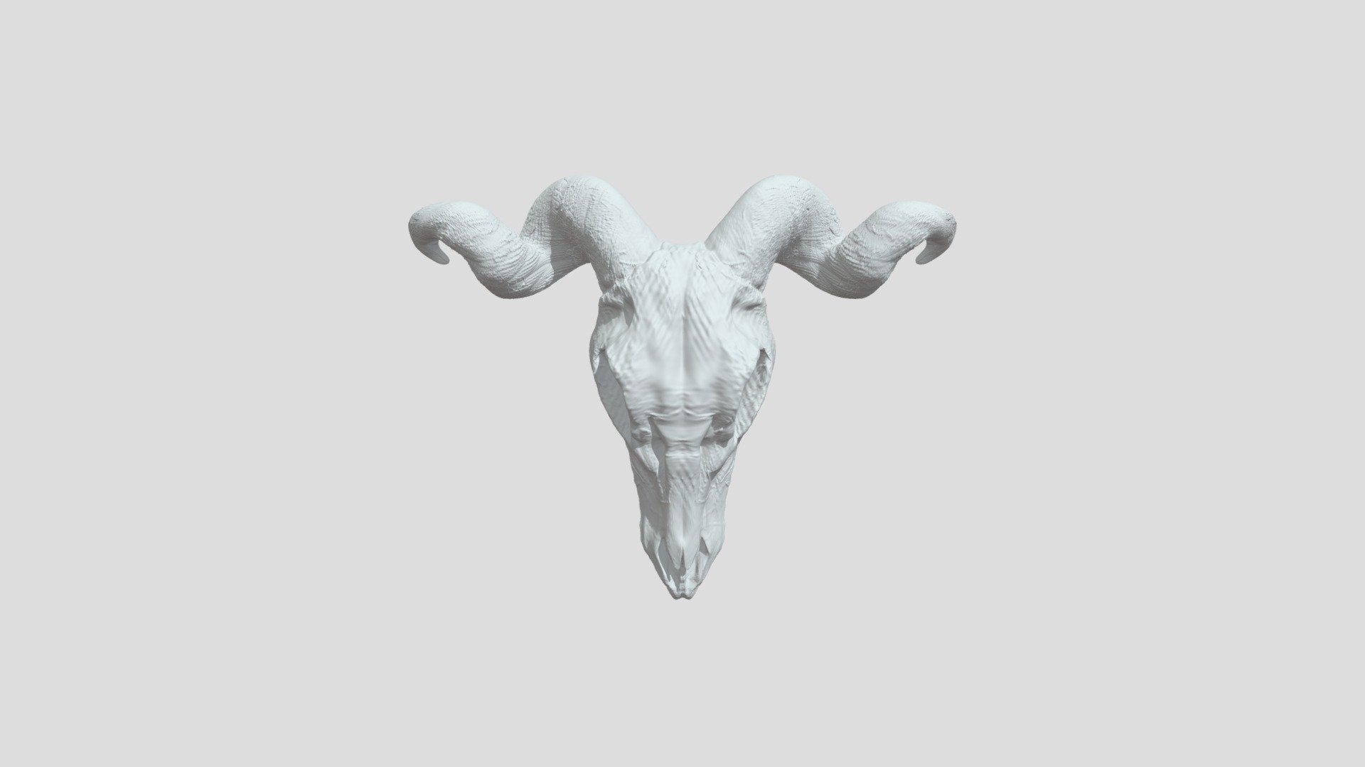 Ram Skull