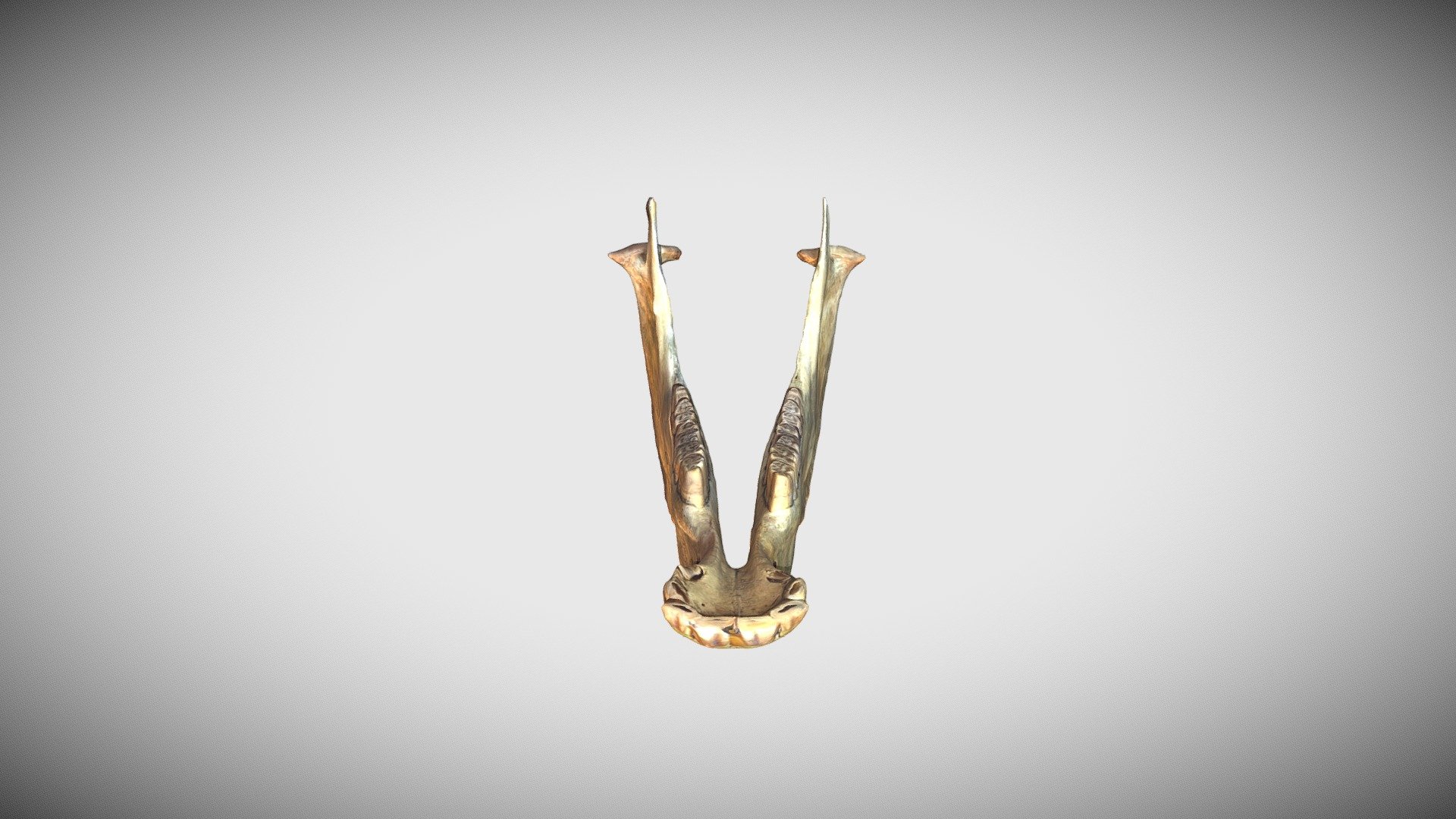 Лошадь прж лондонский - Download Free 3D model by zmmu [2b775f3 ...