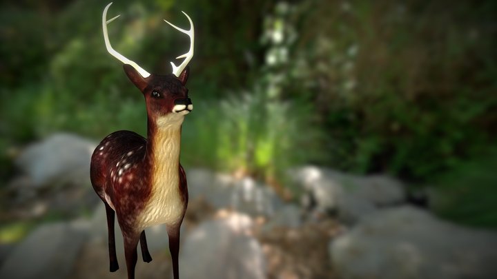 Cervo 3D Model