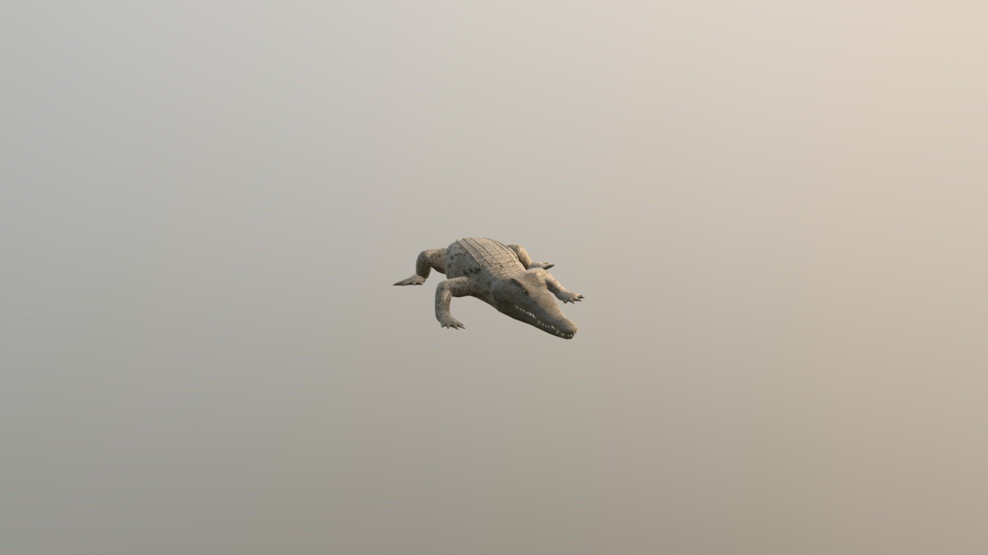 Crocodile