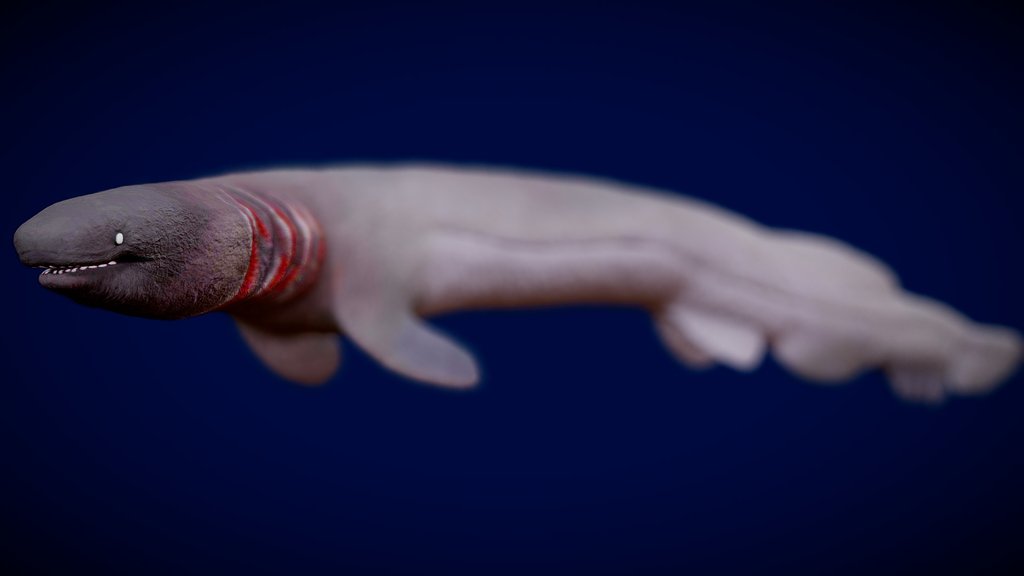 Animated Frilled Shark