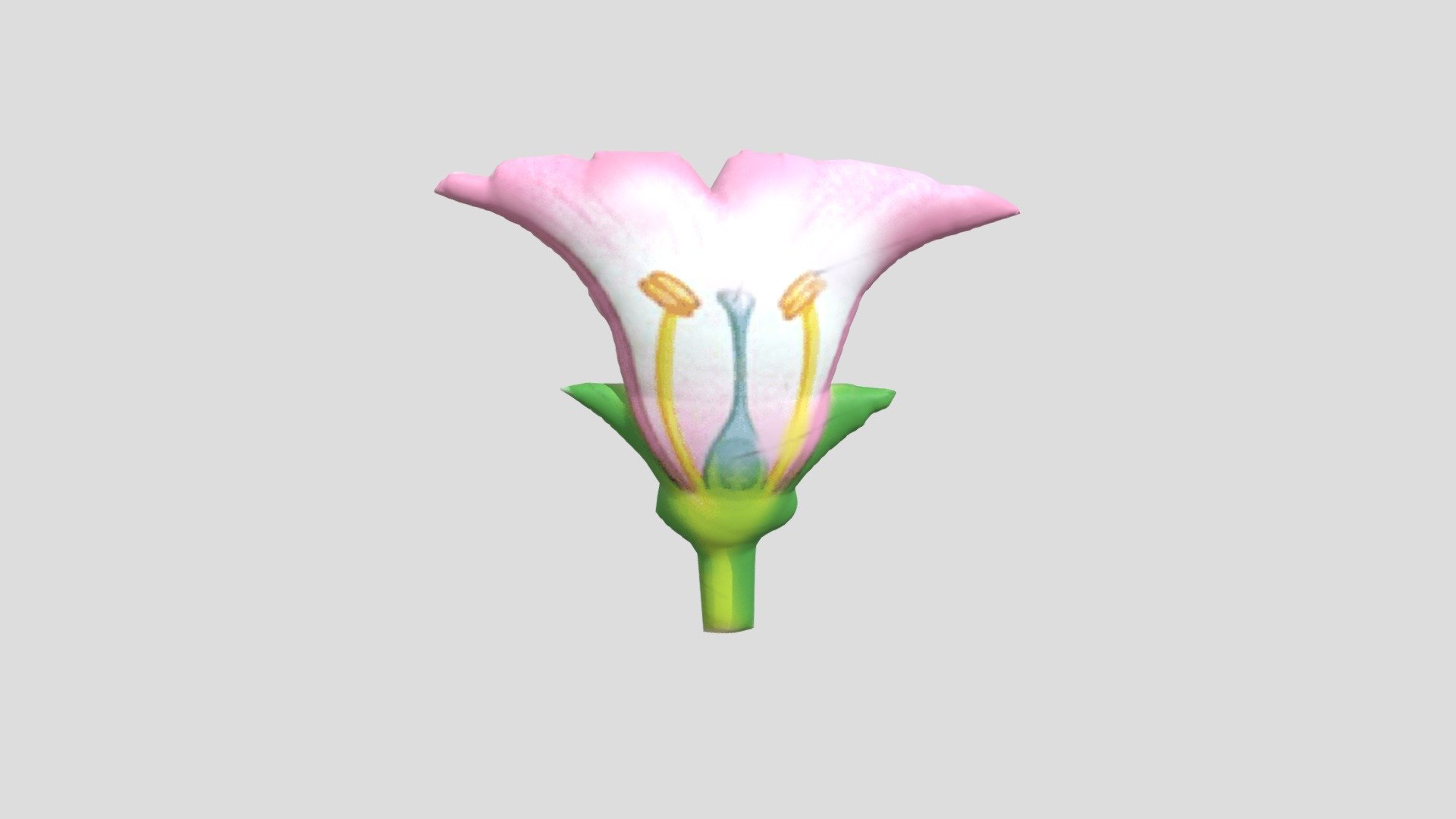 bunga tidak sempurna - 3D model by mirajuliya590 [2b7ed55] - Sketchfab
