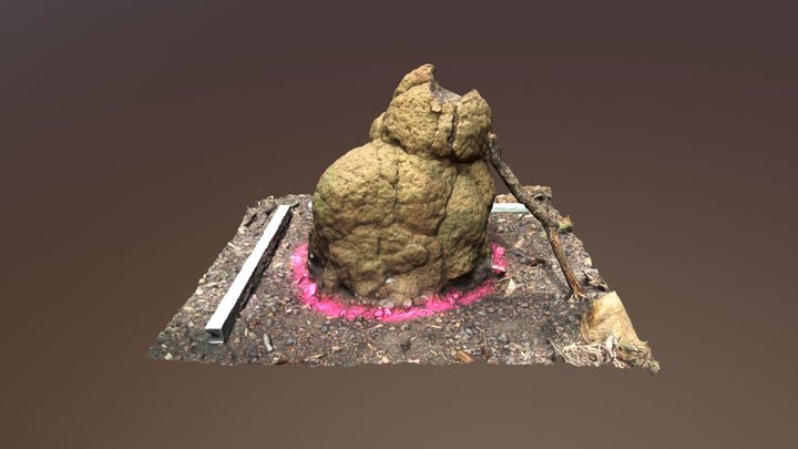 Termite mound Tp5-2016 3D Model