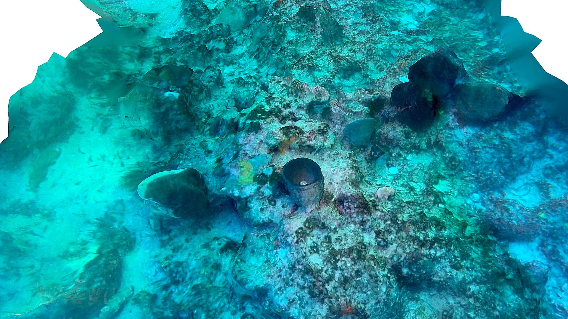Sponge Garden Geographe Bay