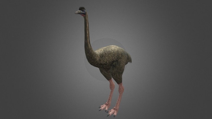 Dinosaur Hunting Moa