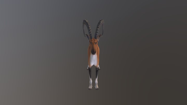 Desert Goat-Hound - Animal Hybrid 3D Model