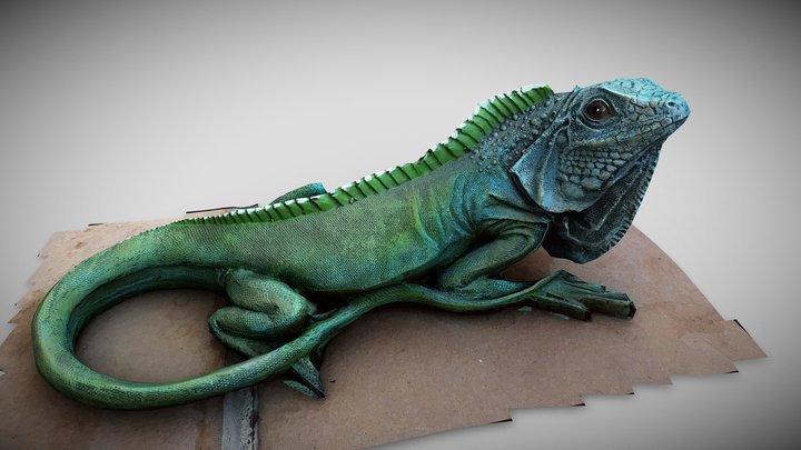 Realistic resin iguana photogrammetry 3D Model