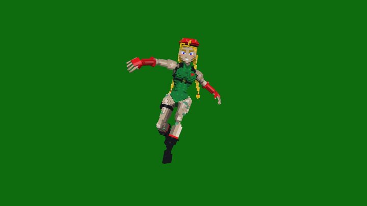 Cammy 3D models - Sketchfab