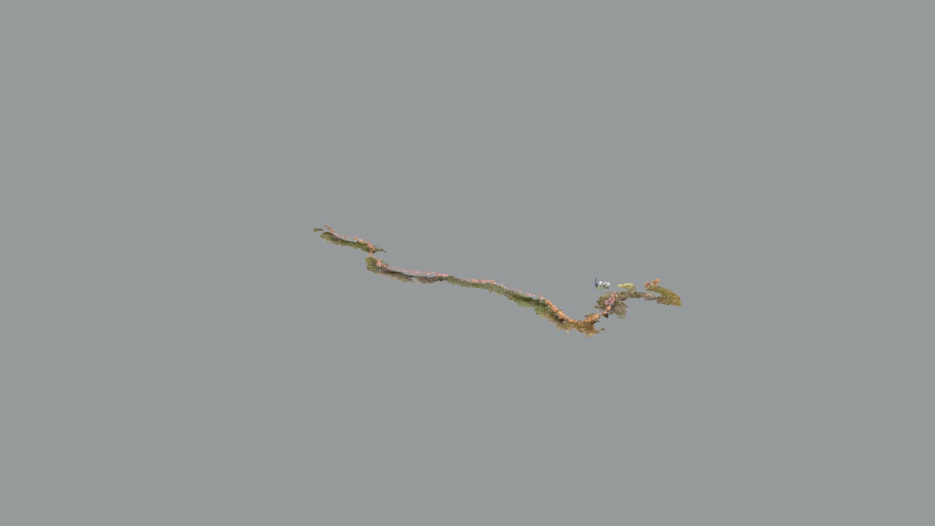 Long dogg2