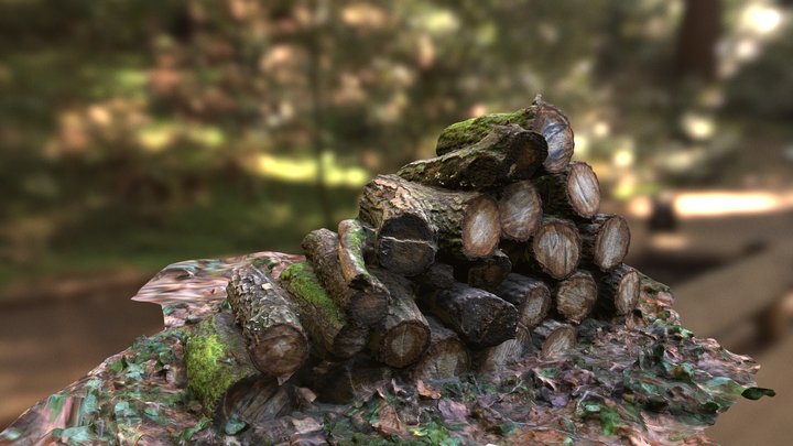 Woodblock 3D Model