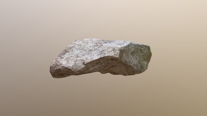 Rock Scan 3D Model