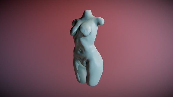 29_Torso Female 3D Model