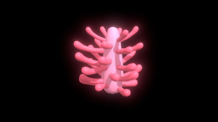 Grevillea Animation 3D Model