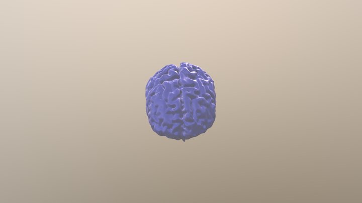 Presentation_2019-01-26_Brain 3D Model