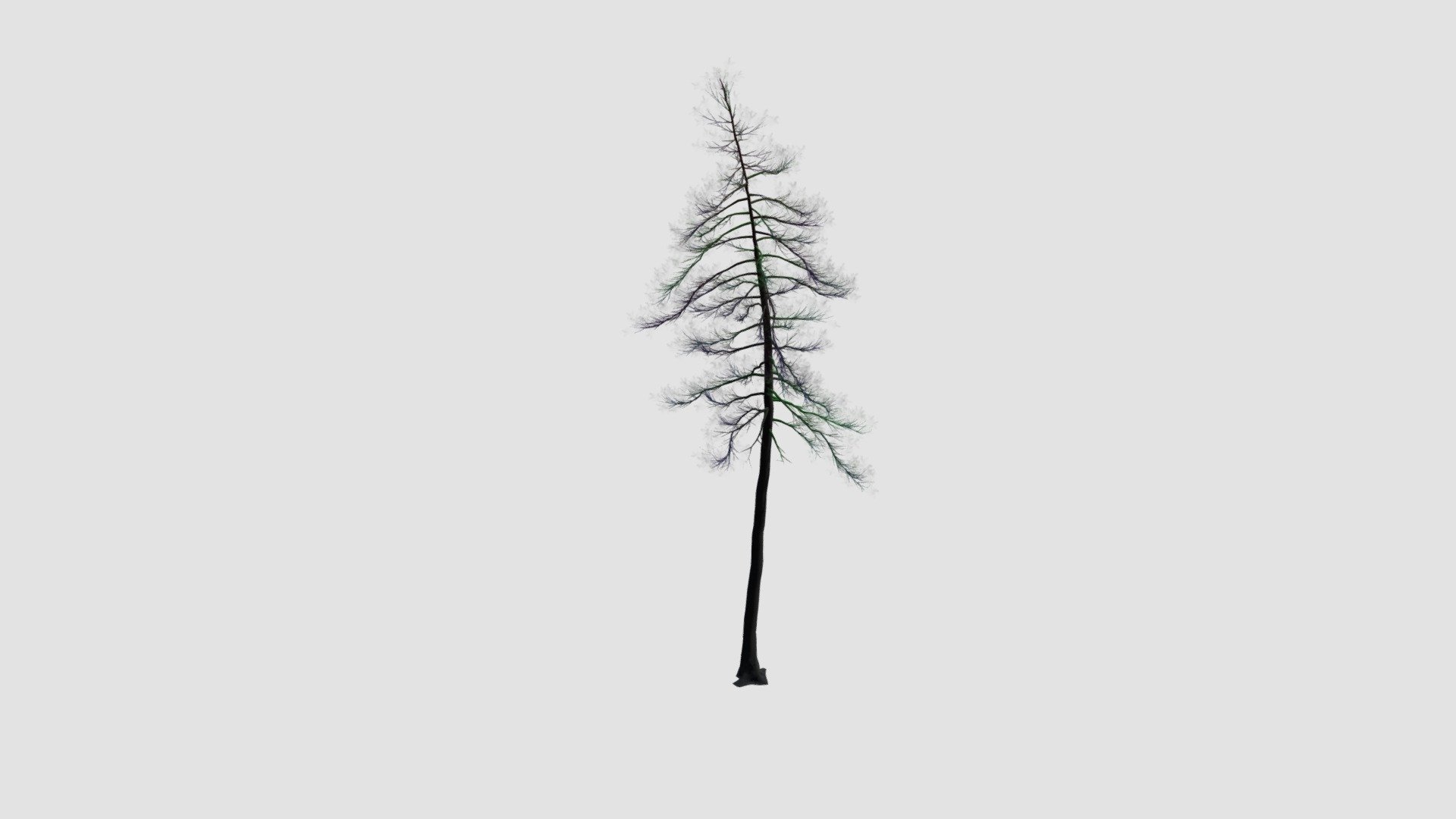 Tree - Buy Royalty Free 3D model by Evermotion [2b93d4c] - Sketchfab Store