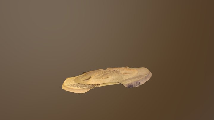 Clé de vo ûte 3D Model