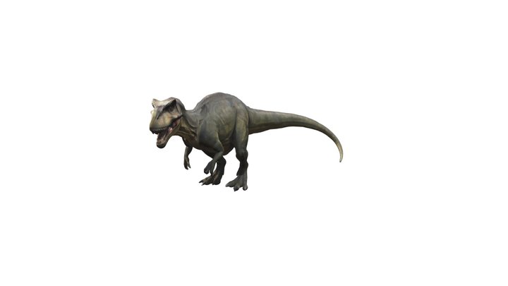 Model of a  Tyrannosaurus Rex 3D Model