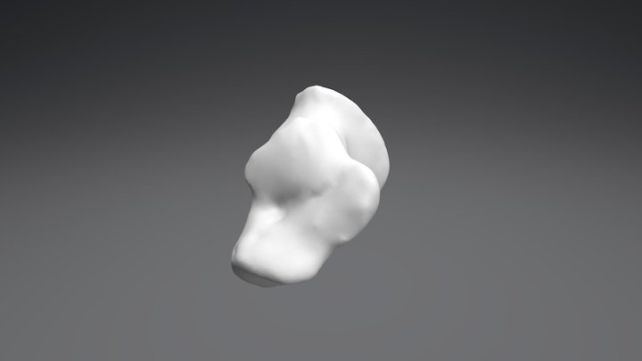 Calcáneo 3D Model