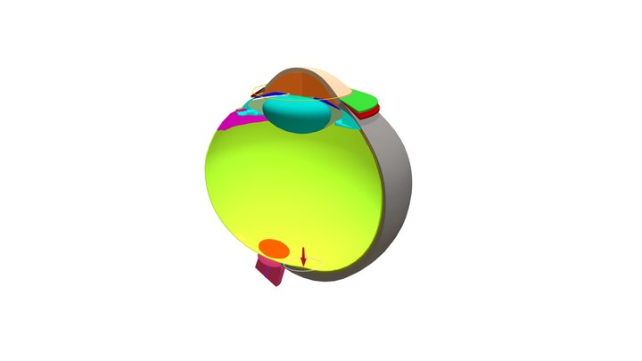 G1_Hemisection of eye 3D Model