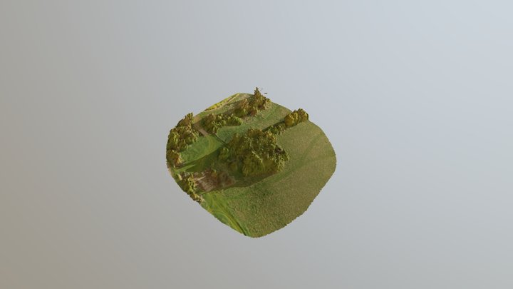 mkclubtree 3D Model