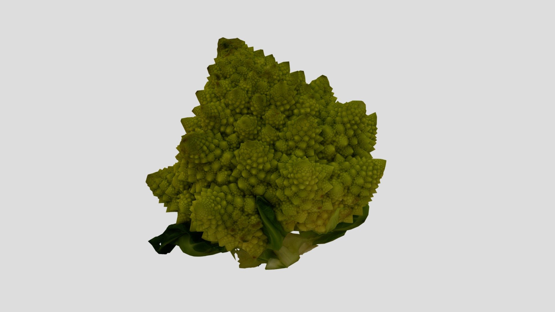 Broccolo Romanesco 05