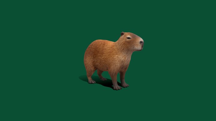 Minecraft Capybara - 3D model by KaerthModels (@KaerthModels) [b9710b5]