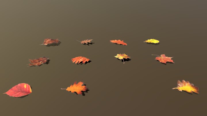 Autumn Leaves 3D Model