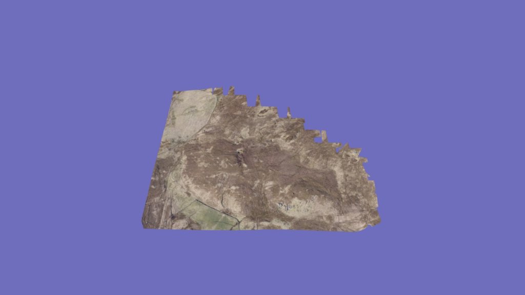 Lyne 5