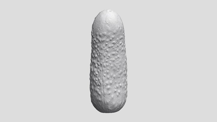 Pickle - Ultra-Realistic 3D Print Model 3D Model