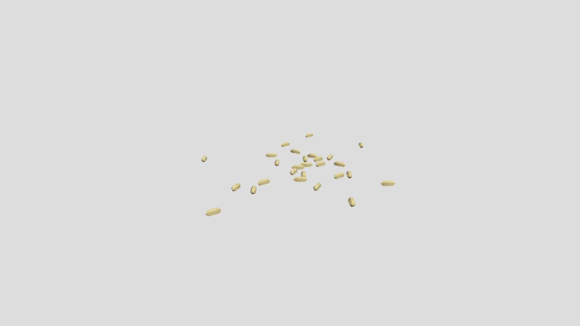 Maggots