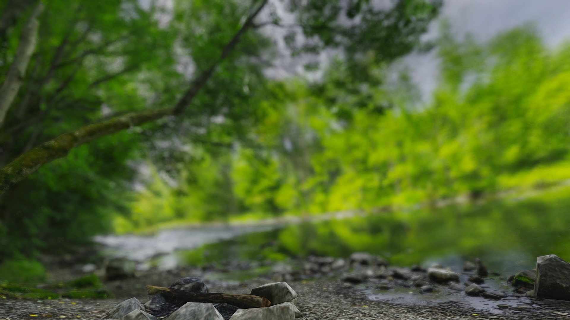 River Environnement