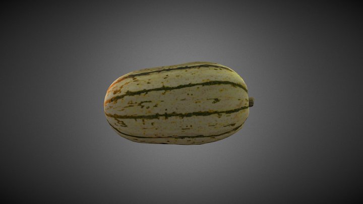 Squash_DecimationMaster 3D Model