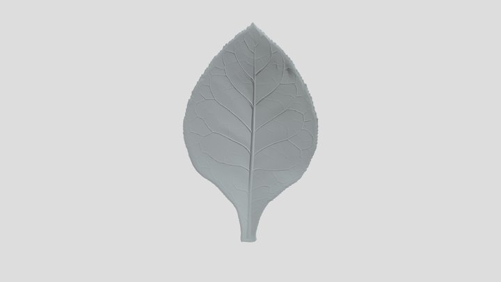 Verdant Veins
