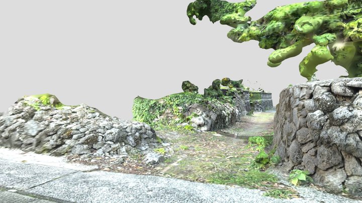 サンゴの石垣：阿伝13:T05 3D Model