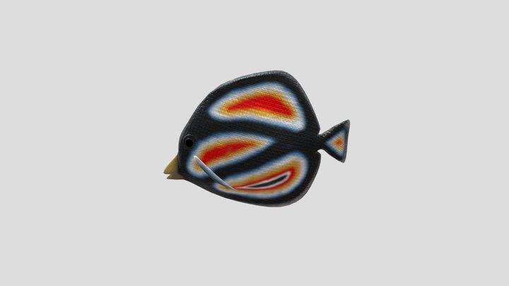 Fish 3D Model