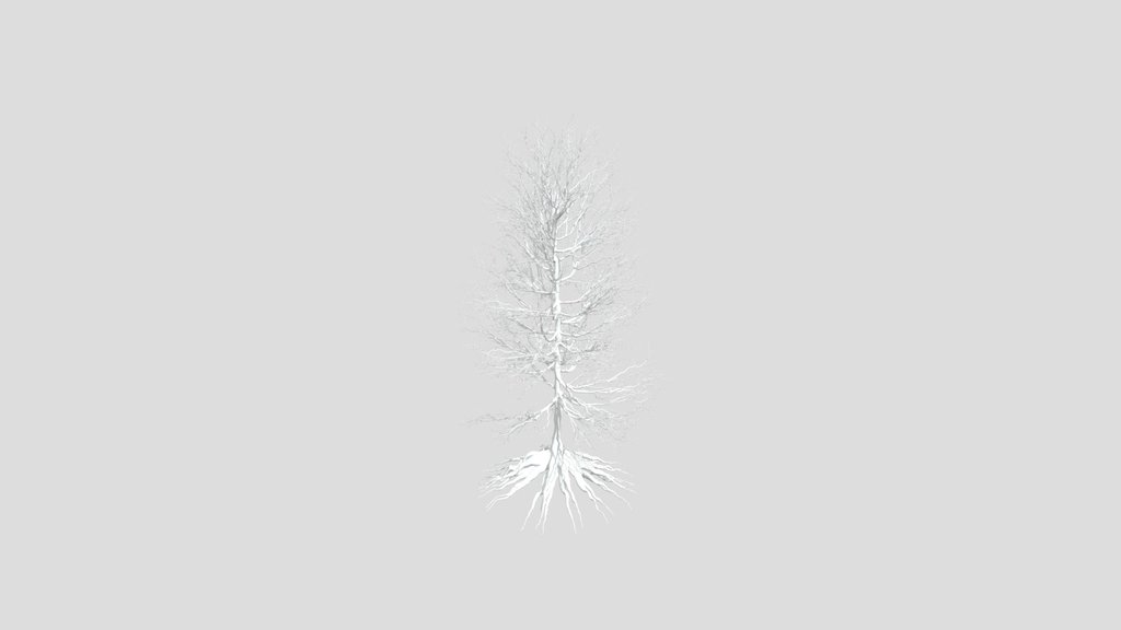 Dry Tree 07