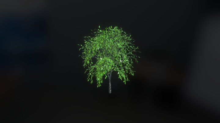 Dakatra Plant model 1001 SamplinGenTree 3D Model