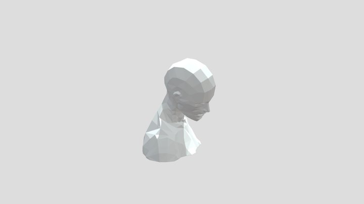 PLANAR HUMAN BASE RIGS 2 3D Model
