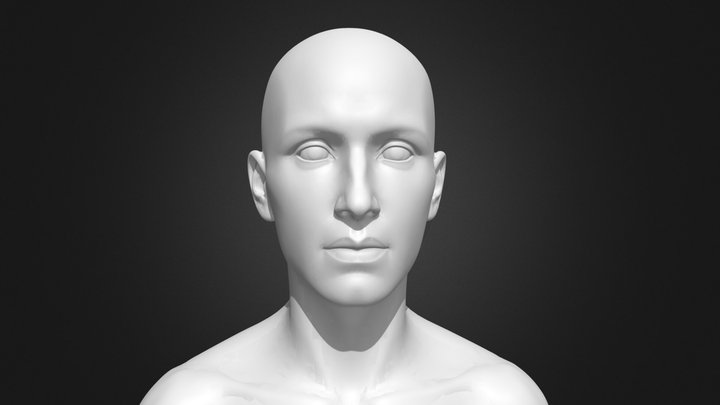 Default Human Head 3D Model