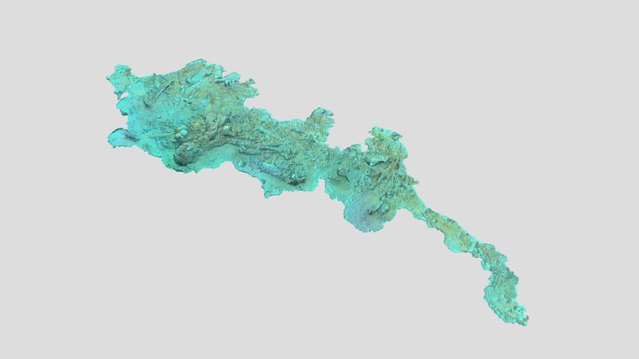 Octopus (1928)  Magnetic Island, Australia. 3D Model